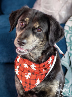 Gifts in the Morning Pet Bandana